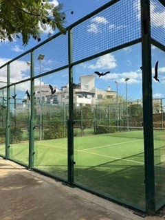 Paddle-Tennis